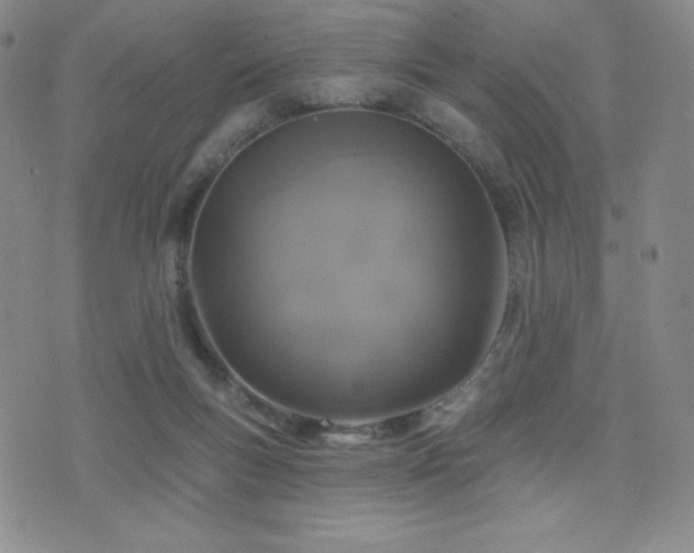 X0000077320167200610201212