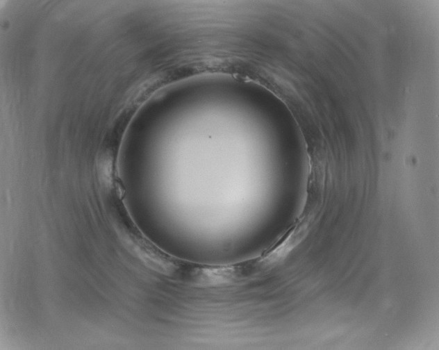 X0000077320188200610201212