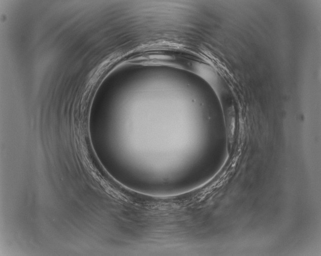 X0000077320193200610201211