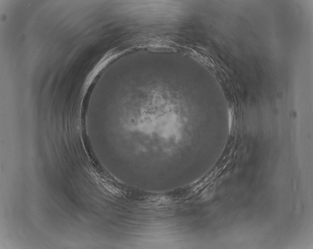 X0000077320195200610201211