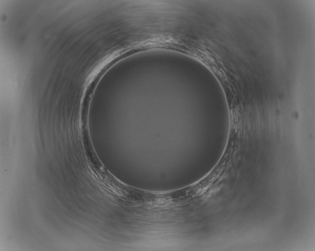 X0000077320196200610201211