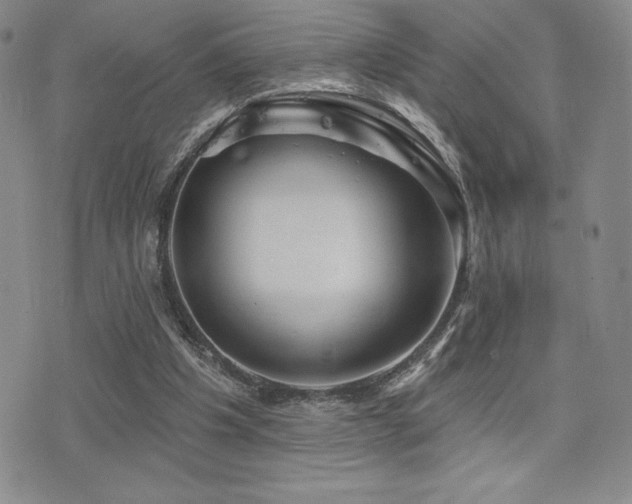X0000077320201200610201211