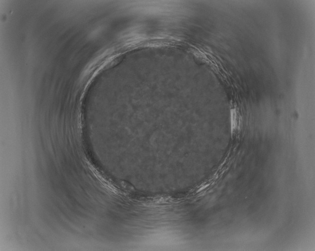X0000077320243200610201210