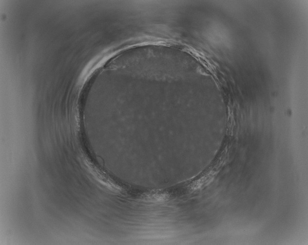 X0000077320247200610201210