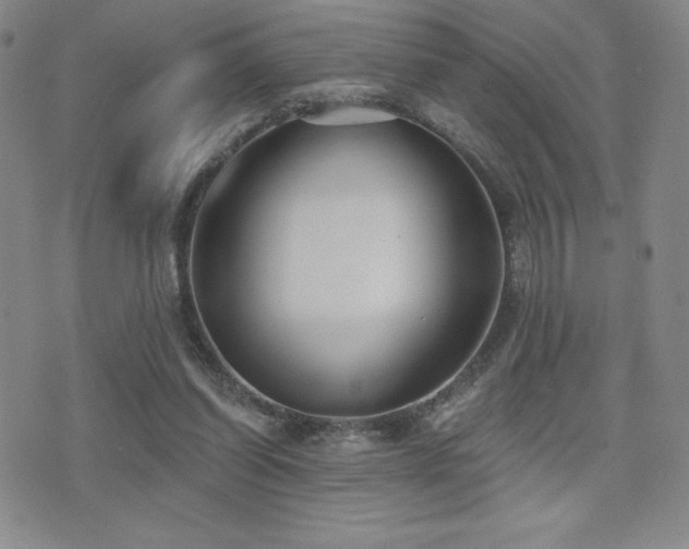 X0000077320254200610201210