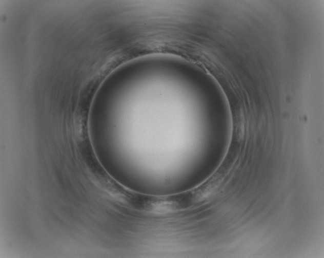 X0000077320268200610201210
