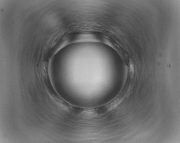 X0000077320280200610201210