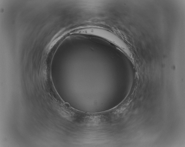 X0000077320295200610201210