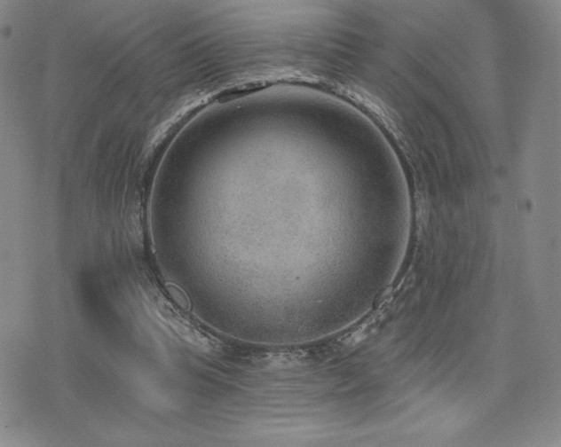 X0000077320345200610201208