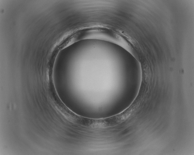X0000077320350200610201208