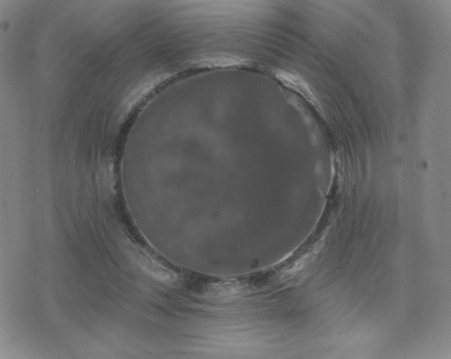 X0000077320351200610201208