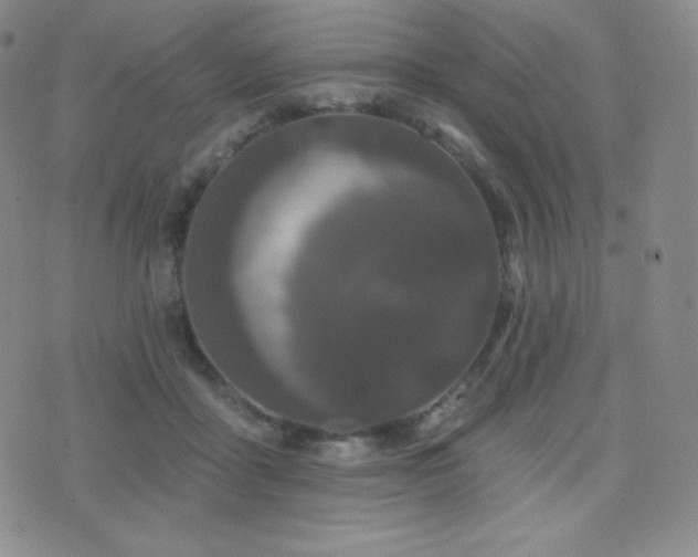X0000077320411200610201208