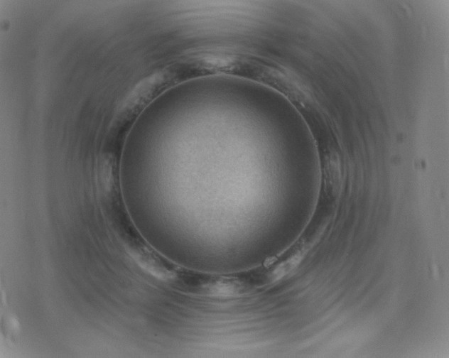 X0000077320412200610201208
