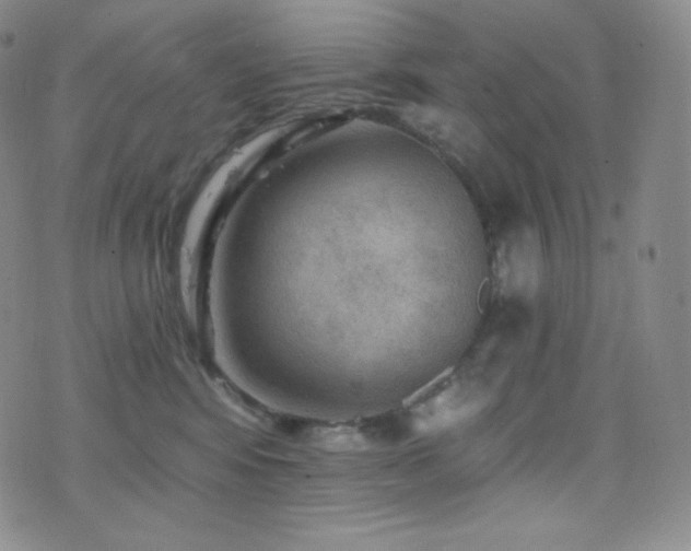 X0000077320424200610201208