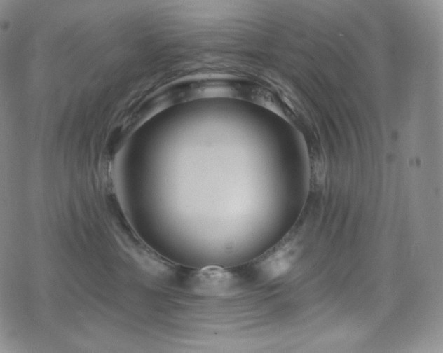 X0000077320429200610201207