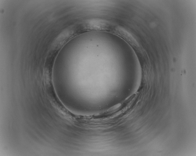 X0000077320457200610201207