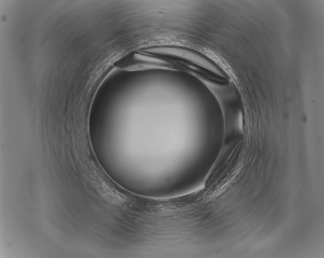 X0000077320481200610201207
