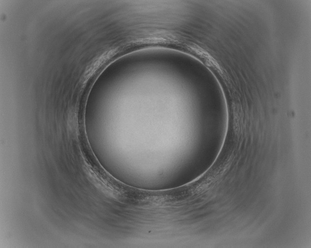 X0000077320482200610201207