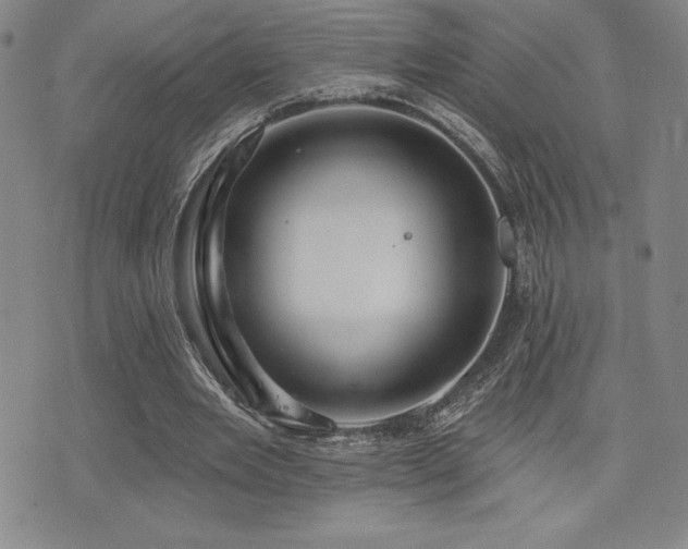 X0000077320485200610201206