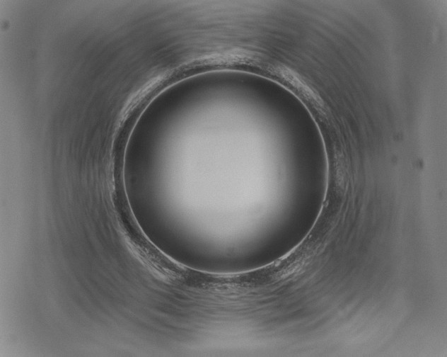 X0000077320486200610201206