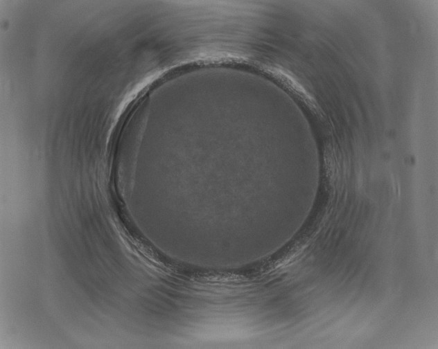 X0000077320488200610201206