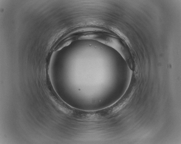 X0000077320493200610201206
