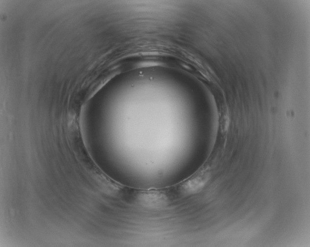 X0000077320521200610201206