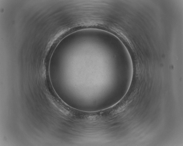 X0000077320584200610201205