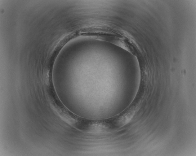 X0000077320596200610201205
