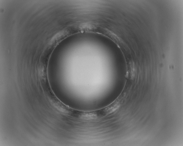 X0000077320619200610201204