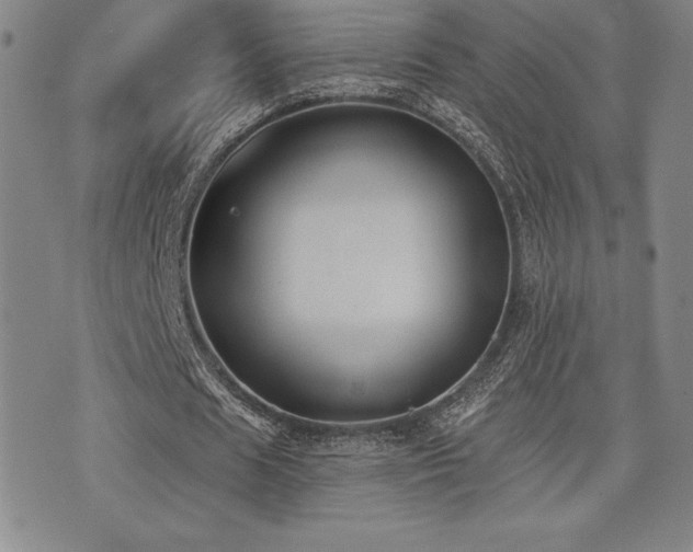 X0000077320625200610201203