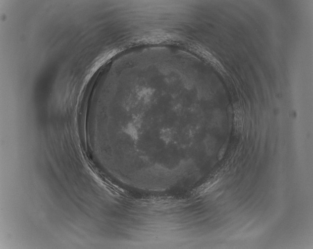 X0000077320626200610201203