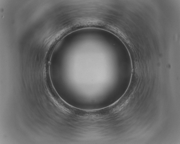 X0000077320629200610201203