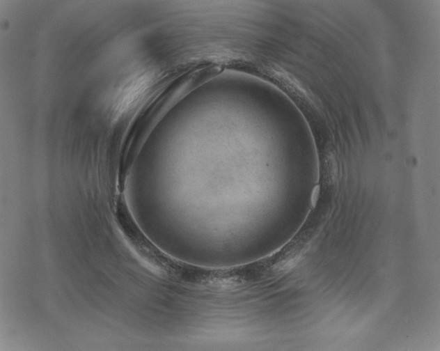 X0000077320638200610201204