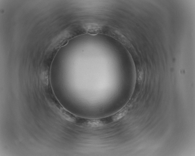 X0000077320666200610201204