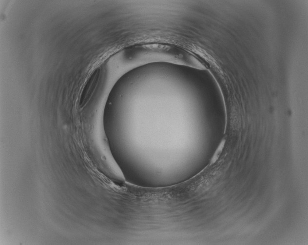 X0000077320673200610201203