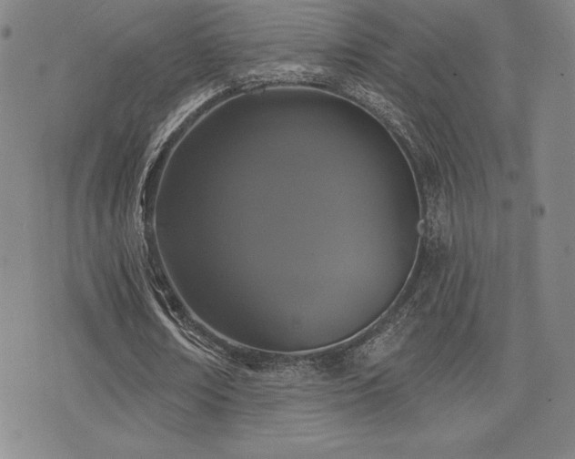 X0000077320674200610201203