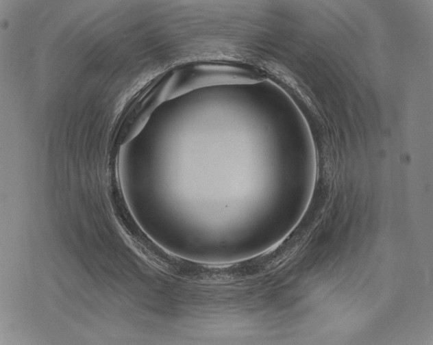 X0000077320677200610201203