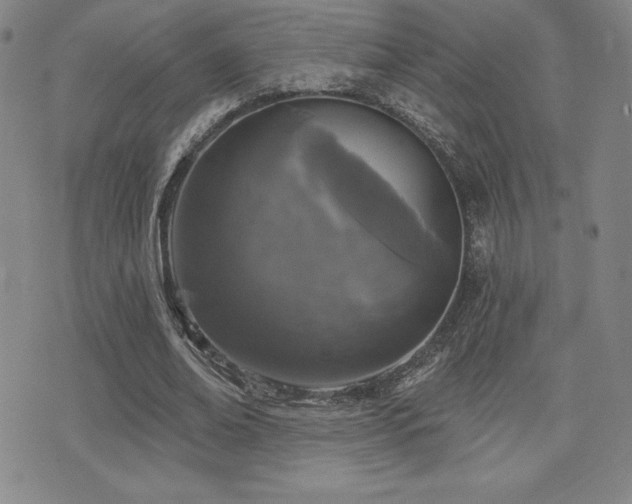 X0000077320678200610201203