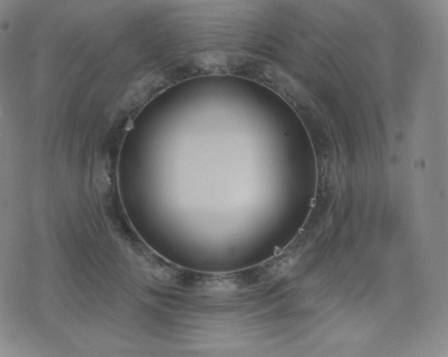 X0000077320702200610201203