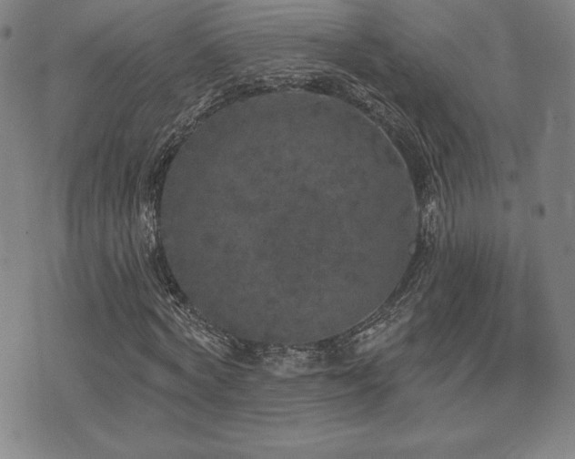 X0000077320772200610201202