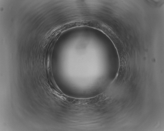X0000077320773200610201202