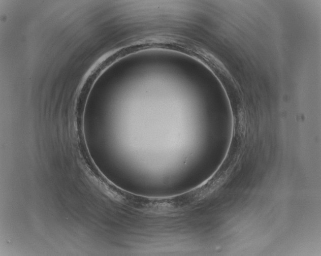X0000077320784200610201202