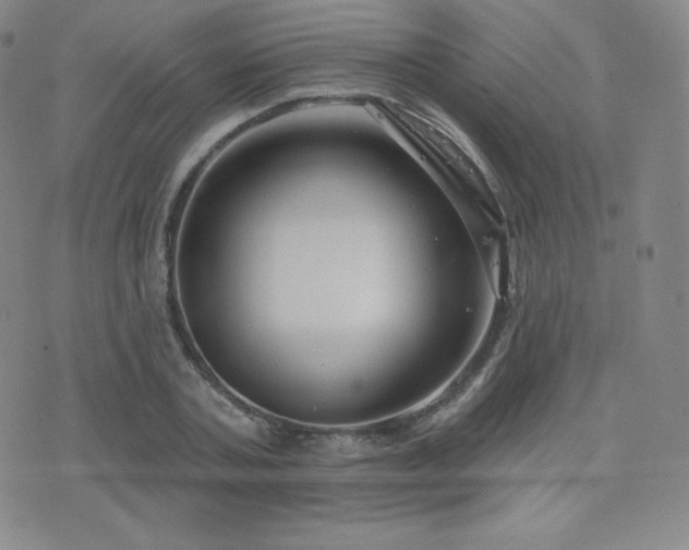 X0000077320787200610201202