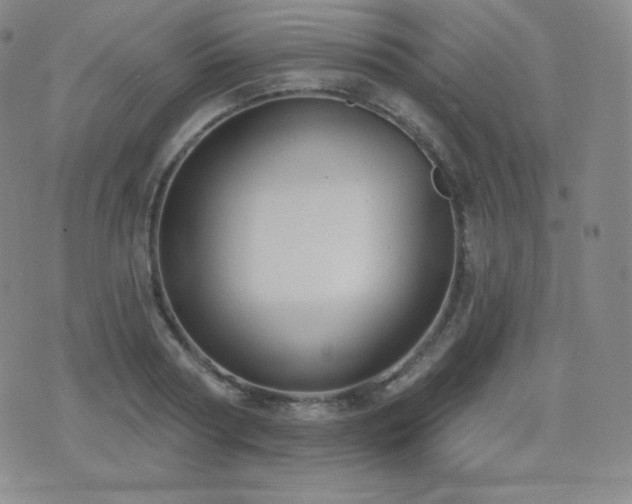 X0000077320794200610201201