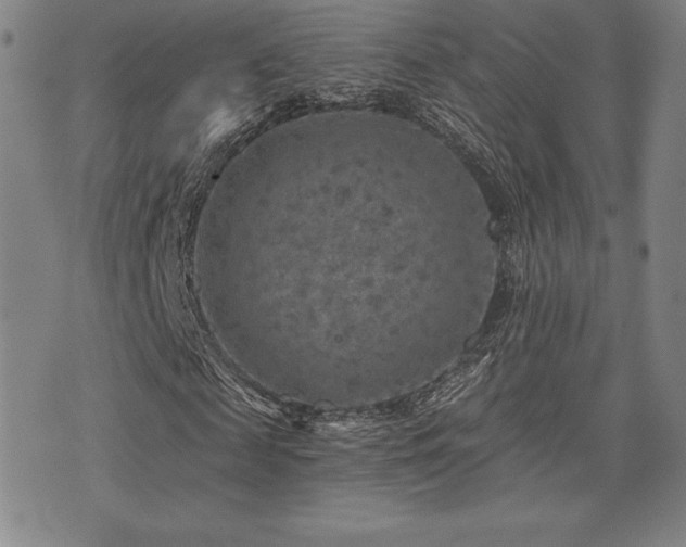 X0000077320817200610201200