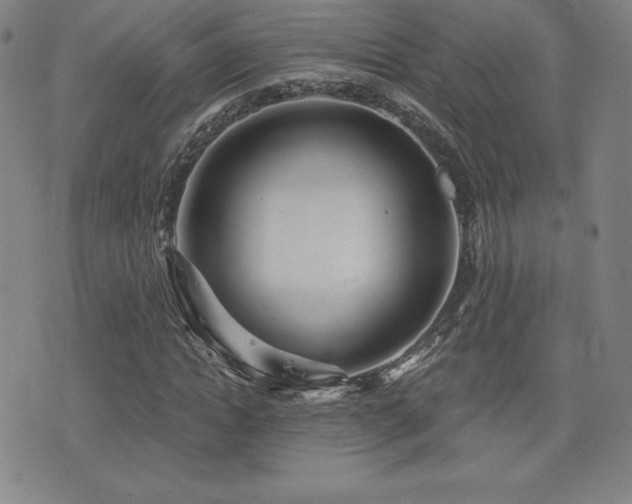 X0000077320822200610201200