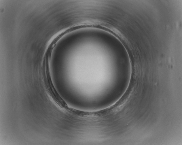 X0000077320838200610201201