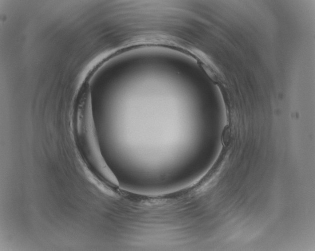 X0000077320846200610201201