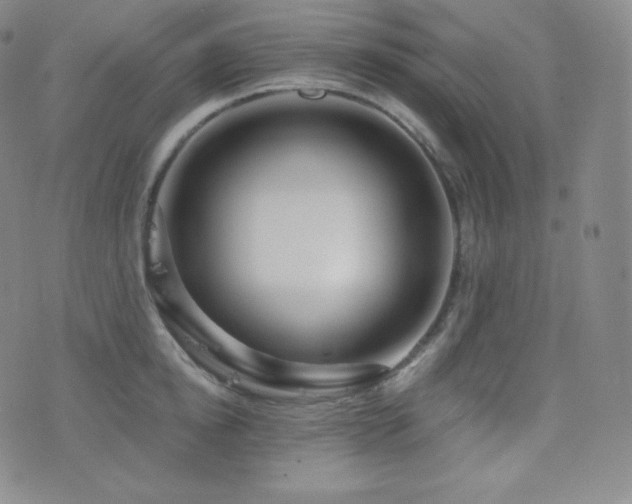 X0000077320854200610201201